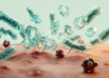 Antimicrobial cyclic peptide shows multi-target effects in laboratory acne models