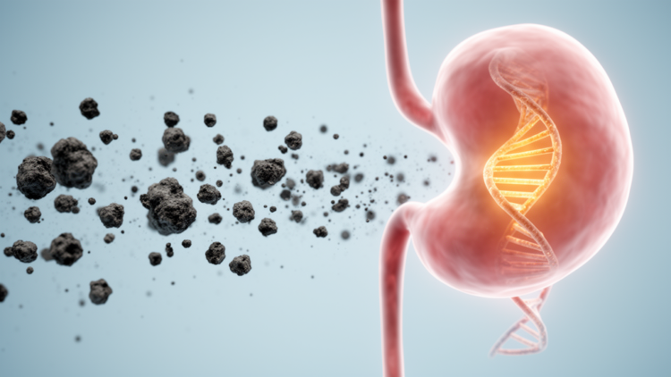 Long-term air pollution exposure linked with bladder cancer risk in prospective UK Biobank analysis