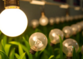 Temperature and Hormone Tweaks Give Scientists a Dial to Turn Bulb Dormancy On and Off