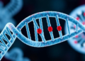 Genetic Framework Flags Safety Risks for Inflammatory Bowel Disease Drug Targets
