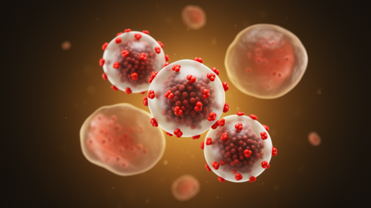 Doxorubicin-loaded iron oxide nanoparticles reduce viability in leukaemia cells in laboratory proof of concept