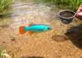 Ethiopian killifish population adds detailed karyotype data for Epiplatys spilargyreius