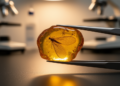 Two Cretaceous amber lacewings expand evidence of babinskaiid reproductive and leg diversity