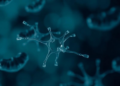 Fifteen Years of Data Reveal an Alarming Rise of Drug-Resistant E. coli Across Iran