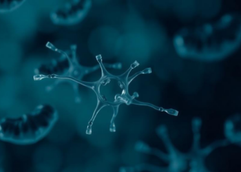 Fifteen Years of Data Reveal an Alarming Rise of Drug-Resistant E. coli Across Iran