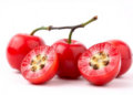 Scientists Reveal the Hidden Cellular Clock That Decides Whether a Jujube Turns Crisp, Soft, or Hard