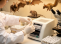 Taiwan study develops COI barcode reference library for 48 non-volant terrestrial mammal taxa
