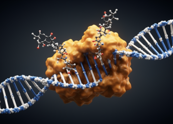 VelB DNA-binding region requires conserved arginine cluster for fungal development