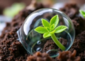 Plant Cell Walls Hold Firm Under Everest-Level Low Pressure, Study Finds