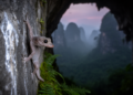 Mitochondrial and morphological evidence distinguishes new karst gecko species in Guangxi