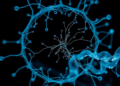 Hybrid Knowledge Distillation Teaches AI to Spot Defects Without Labels