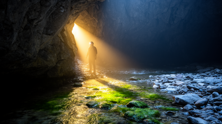 Field study links distinct invertebrate communities to light gradients in Western Caucasus cave entrances