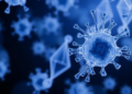 Scientists Engineer Shear-Resistant Prostate Cancer Cells and Uncover a Survival Gene