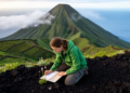 Research report: New spatial records of vascular plants in the Azores Archipelago: the PRIBES project and the Azorean Biodiversity Portal (ABP) initiatives - II. Pico Island