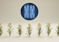 Study reports chromosome number of 18 for seven Armeria species in Italy