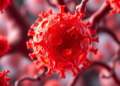 Cellular Recycling Machine Linked to Male Fertility Hormone Control