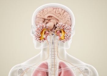 Case report links lung cancer leptomeningeal metastasis to bilateral vestibulopathy
