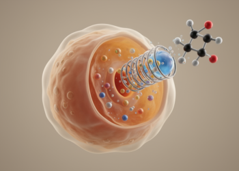 Single-donor osteoarthritis cell study links decanoic acid to MRP4 transport