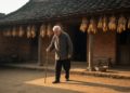 Qualitative study identifies physical, social and cultural barriers to home rehabilitation after joint replacement in rural older adults