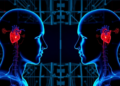 Digital-Physical Twins Converge to Transform Heart Failure Diagnosis and Prognosis
