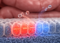 L. brevis supernatant selectively alters inflammation genes in intestinal cells