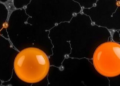 Konjac and Carrageenan Team Up to Shield Beta-Carotene in Novel Emulsion Gels