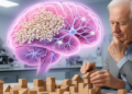 Immature brain support cells linked to poorer reasoning in older adults