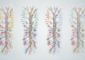 Gene architecture predicts isoform diversity across four genomes