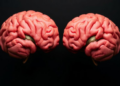 When the Mind Divides, Sarcopenic Muscles Falter: Neural Clues to Unsteady Force in Ageing