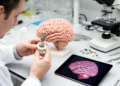 Hypothesis proposes auxiliary brain for severe stroke restoration