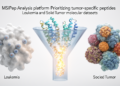 MSIPep prioritizes tumor peptides in leukemia and solid-tumor datasets