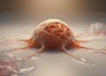 Systematic review finds limited direct evidence of macrophage environmental memory