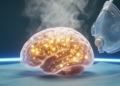 Review links sevoflurane exposure during development to neuroinflammatory pathways linked with neurotoxicity