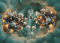 Study identifies histidine ‘pendulum’ mechanism underlying high activity of Group A [FeFe]-hydrogenases