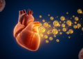 Cross-sectional study links low vitamin D status with adiposity and cardiometabolic risk in 264 adults