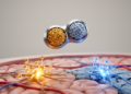 Adamantane-nitrone hybrid TA1 reduces ischemic brain injury in mouse and cell studies
