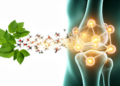 Review assesses network pharmacology for herbal medicines in rheumatoid arthritis