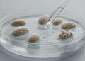Repeated Hydrogen Peroxide Exposure Alters Some Candida Traits in Vitro