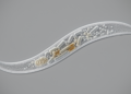 Nematode model reveals bacterial shifts in chronic Pseudomonas infection