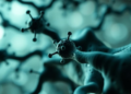 Hidden Protein Networks Emerge as Central Players in Huntington's Disease