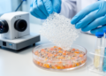 Research report: Editorial: Development of novel engineered biomaterials with clinical translation prospects for chronic disease theranostics