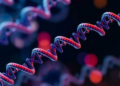 Computational Framework Ranks Safer RNA-LNP Formulations Before the Lab