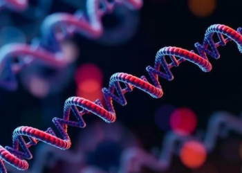 Computational Framework Ranks Safer RNA-LNP Formulations Before the Lab