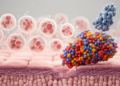 TIMP1 linked to anoikis resistance and metastasis in esophageal cancer