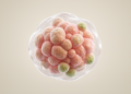 Conceptual framework links cancer to coordinated cellular changes