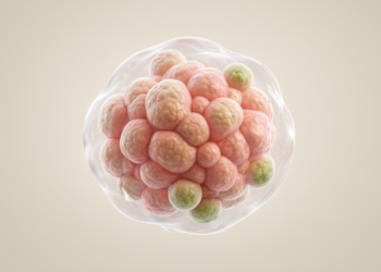 Conceptual framework links cancer to coordinated cellular changes