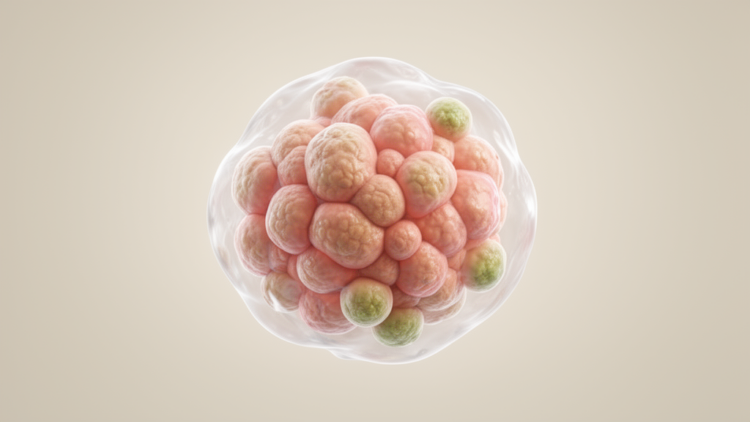 Conceptual framework links cancer to coordinated cellular changes