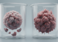 3D imaging reveals divergent effects of two cancer drugs