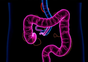 Preclinical study finds PTPN12 restrains colorectal cancer immunity