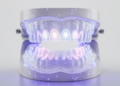 Quantum-simulated mesh network classifies five dental occlusion attributes
